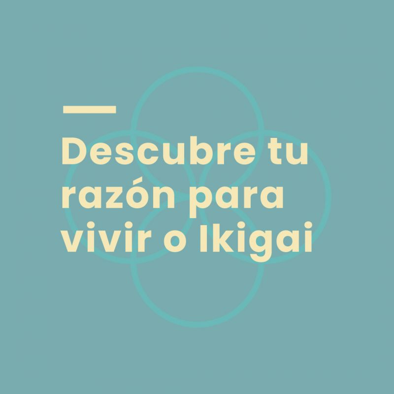 Descubre Tu Razón Para Vivir O Ikigai Carolina Zr